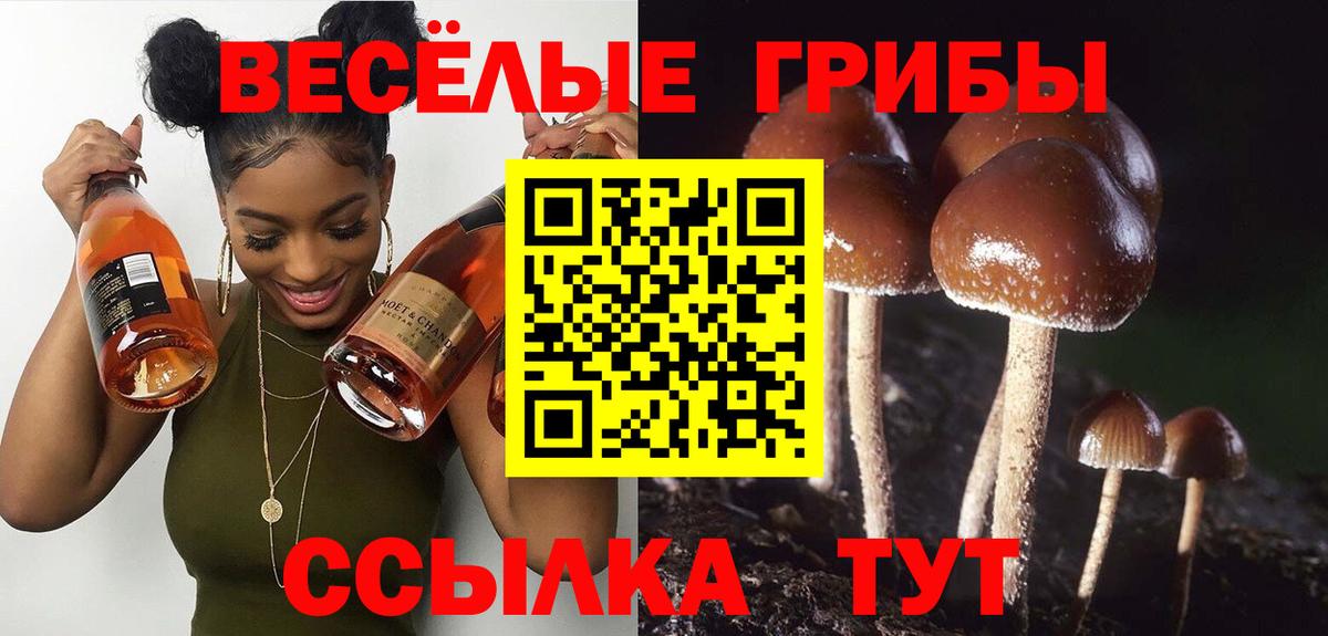 Ростов Великий  Псилоцибиновые грибы мицелий  Вход с VPN 