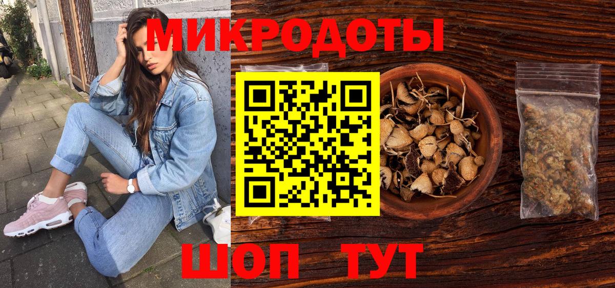 Псилоцибиновые грибы Psilocybe Ростов Великий